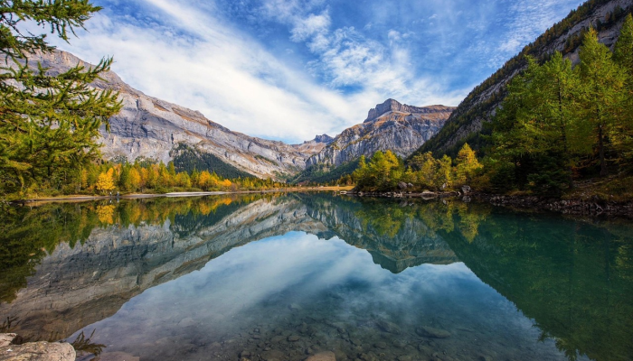 享尽富足思野趣代表什么生肖，全面揭晓解释