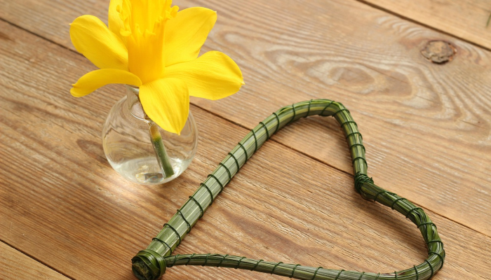 一丝一毫是什么生肖，解析解答