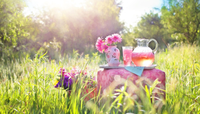 良辰美景打一个生肖，第一解答