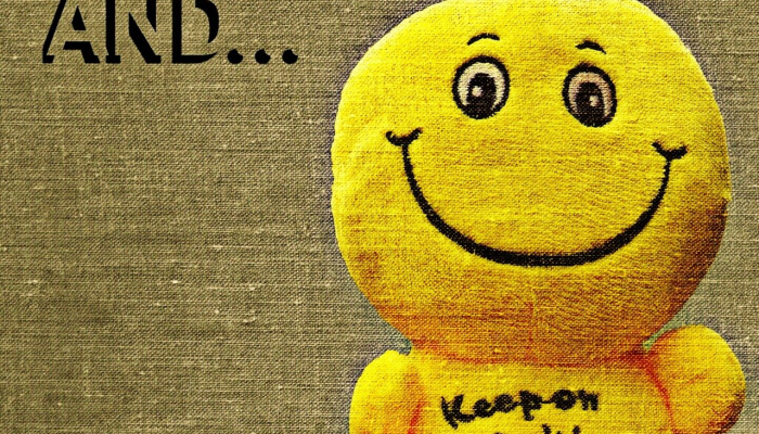 良辰美景打一生肖动物说的是什么动物，专业解答过程落实