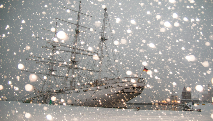 昨夜春风晓色寒打一个生肖，精选解释