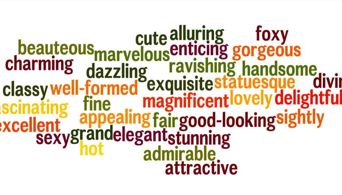 三箭穿云终有定打一种生肖,词语解释 三箭穿云终有定打一种生肖,词语解释