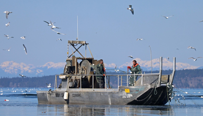 无饵垂钓,乐在逍遥,斜阳冉冉水边楼是什么生肖,精选快答解释 无饵垂钓,乐在逍遥,斜阳冉冉水边楼是什么生肖,精选快答解释