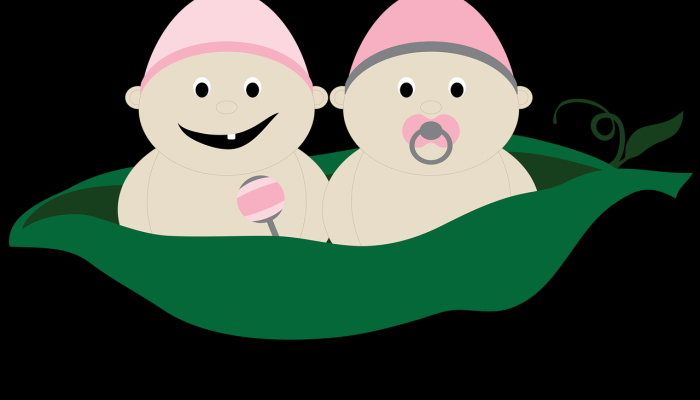 大象打一个生肖,重点解释 大象打一个生肖,重点解释