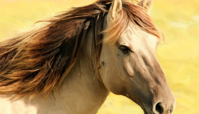 画蛇添足却成龙是什么生肖猜一个动物,最佳解释 画蛇添足却成龙是什么生肖猜一个动物,最佳解释