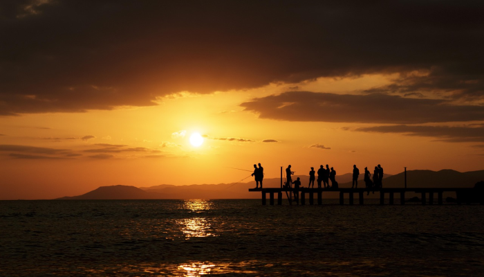 夕阳犹在小桥西，观音院僧谋宝贝打一个正确的生肖，标准答案解答