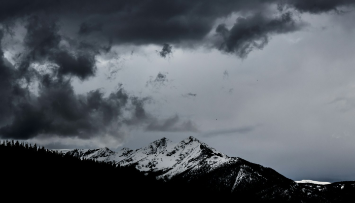 望云之情，五月披裘，错向五陵陵上望是什么生肖，文化内涵解读