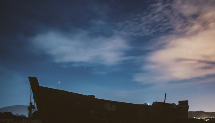 望云之情，五月披裘，错向五陵陵上望打一生肖动物，标准解释