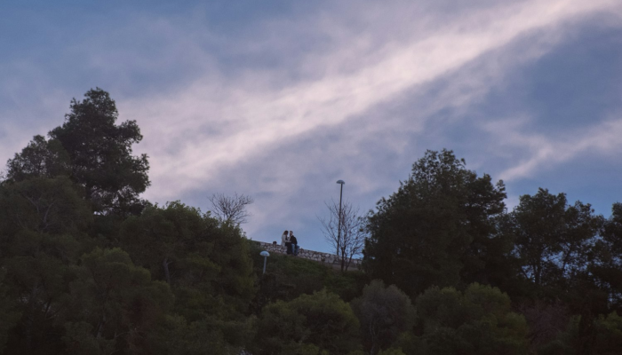 望云之情，五月披裘，错向五陵陵上望是什么生肖，重点诠释解释