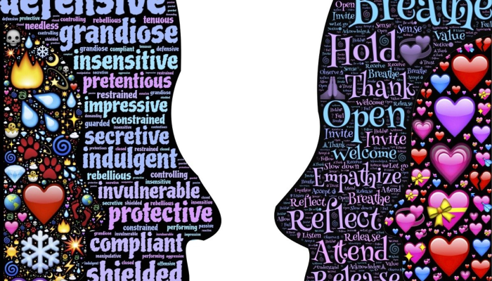 灵和风暖太昌春代表什么生肖，深度解析关系