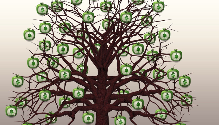 危如朝露是什么生肖，仔细阅读