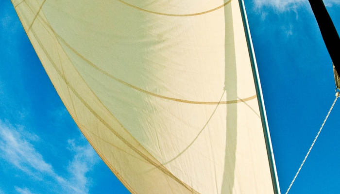 一纸云笺鱼雁远打一个生肖，深度解析来了