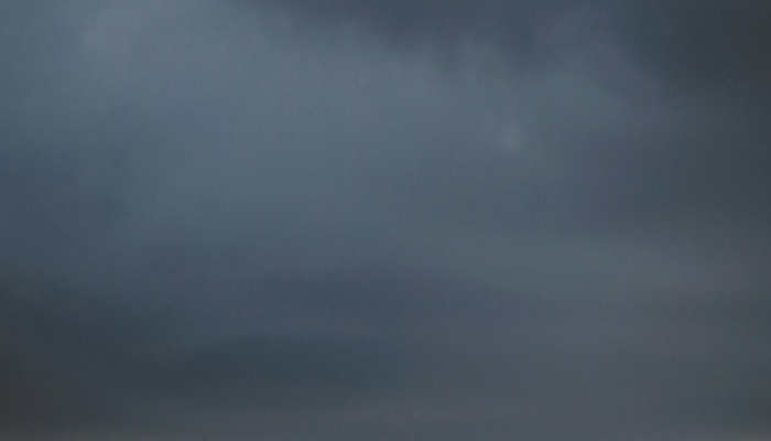 往往随风作雾雨，起祥风兮下甘露指什么生肖，作答解析