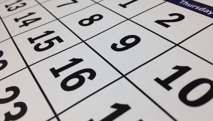 殊深轸念打一个生肖，答案解释